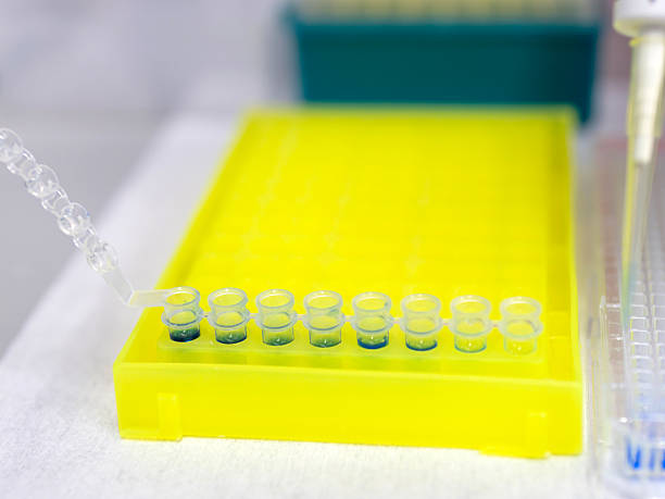 istock PCR tubes and rack in the laboratory 2236372558
