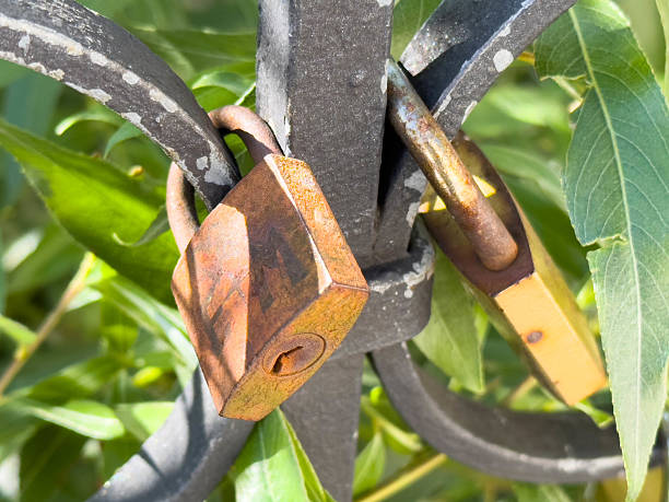 istock Rusty padlocks on iron gate with green leaves in sunlight 2236372690