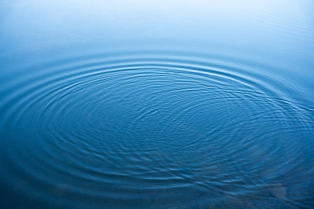 Clear water splashes upwards in a dynamic burst, creating ripples and droplets across a calm liquid surface. The vivid motion highlights the transparent and reflective qualities of the water. The background shows a serene, blurred water body, suggesting a peaceful natural setting. The lighting captures the clarity and movement of the splash, adding visual interest and emphasizing the fluid's energetic behavior.