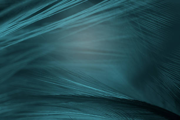istock Beautiful dark green blue vintage color trends feather texture background 2236377154