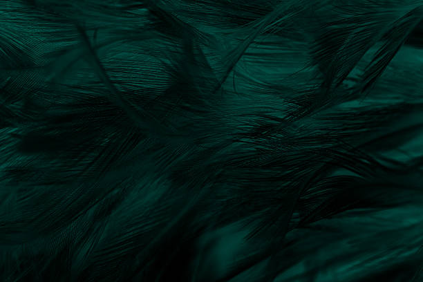 istock Beautiful dark green viridian vintage color trends feather texture pattern background 2236377232