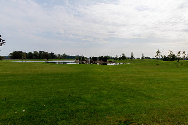 Golf course with cattail and pond in foreground