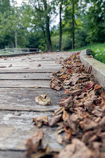 istock Fallen autumn leaves on a wooden boardwalk 2236378352
