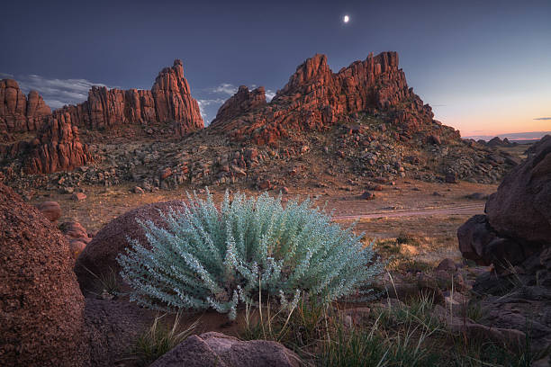 istock Stunning desert landscape at dusk with unique flora and vibrant ecosystem 2236379013