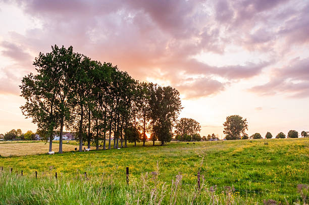 istock Nature in East Flanders 2236379359