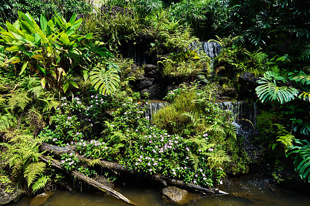 Little pond in the garden