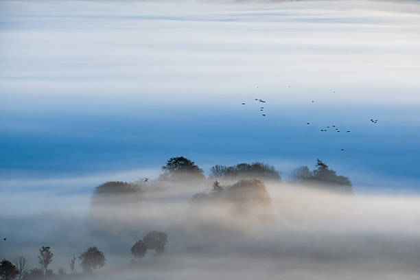 istock Misty morning light with a bird flock 2236383789