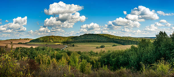 Panorama of green fields, arable land and forests under a bright blue sky with white clouds. Autumn colors add warm shades to the natural landscape