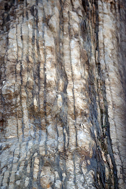 Cross section of rock