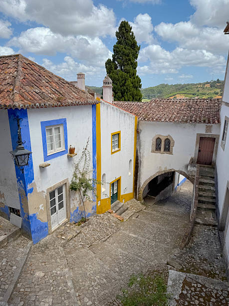 istock Portuguese old house and colorful plants 2236394048