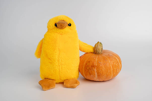 istock Yellow plush toy duck holding orange pumpkin 2236395106