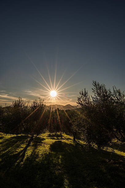 istock Molise, spectacular late summer sunset 2236395384