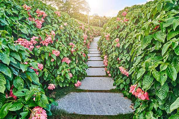 Curved footpath in the beautiful flowers garden