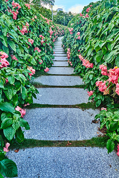 Curved footpath in the beautiful flowers garden