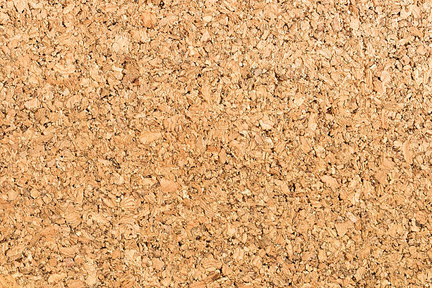 istock Cork background texture with natural granule pattern, macro photography of natural cork pattern. 2236401068