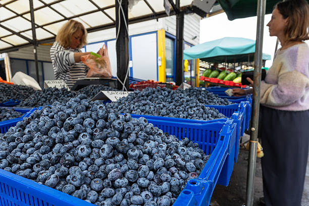 Riga, Latvia -  September 8, 2025:  Blueberries in a blue box at Riga Central Market