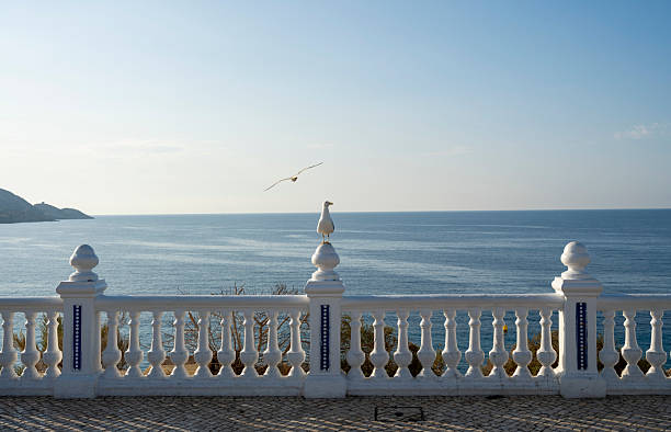 A seagull stands calmly on a white balustrade overlooking the Mediterranean Sea as another glides through the sky. The serene coastal scene captures the peaceful charm of Benidorm, Spain.