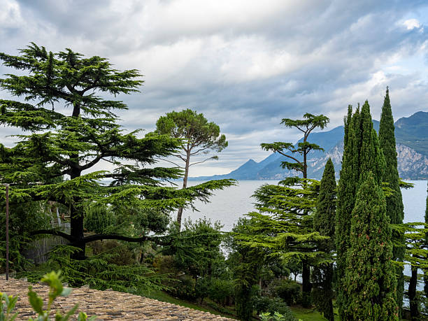 Wide-angle view of typical multi-storey stonework buildings overlooking Lake Garda in the town of Limone sul Garda, still serving their original function of enclosing gardens, lemon tree orchards and olive groves (locally known as limonaie and oliveti respectively). A perfectly clear sky, the golden oblique light of a late afternoon, crystal-clear waters, a gravel beach. The hazy cliffs and slopes of the mountain range of Monte Baldo can be seen on the background. Palette based on pastel tones, ranging from creamy whites to bright yellows and pale cyans, with green accents. High level of detail, natural rendition, realistic feel. Developed from RAW.