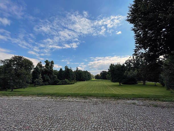 Green park lawn with a cobblestone path under a blue sky with clouds