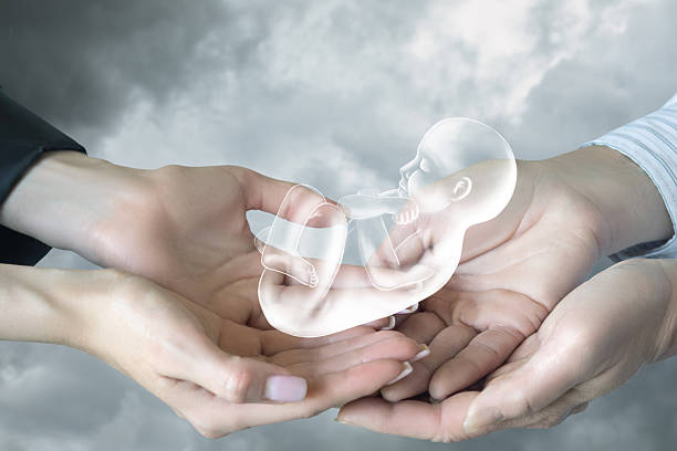 Miracle of life in gentle hands under a cloudy sky.