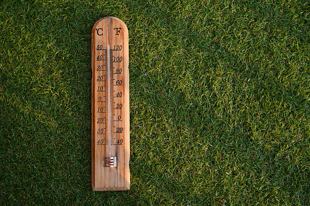 Thermometer showing a very high temperature in celsius and fahrenheit, symbolizing a heat wave and extreme weather conditions impacting the green grass
