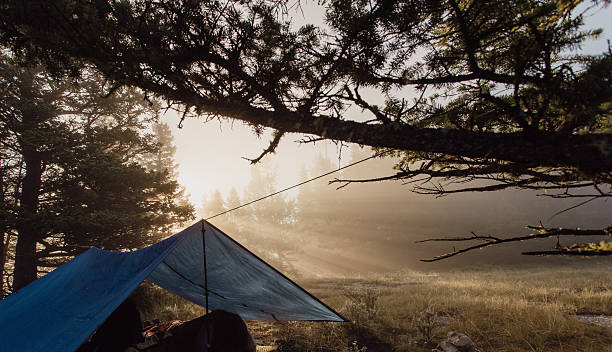 istock Blue Tent Camping Under Misty Forest Sunrise Amid Open Meadow and Distant Trees 2236413185