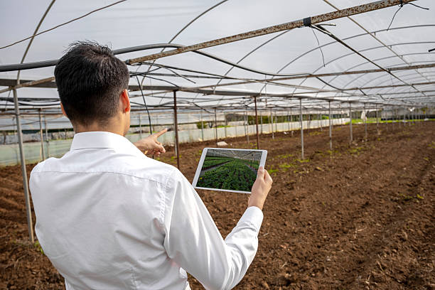 istock Farmer planning smart agriculture in greenhouse using tablet with crop analysis 2236418512
