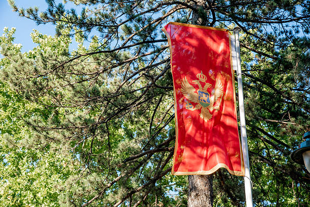 istock National flag independent state Montenegro hangs on flagpole background foliage 2236420001