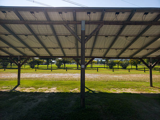 istock Photovoltaic panels 2236421440