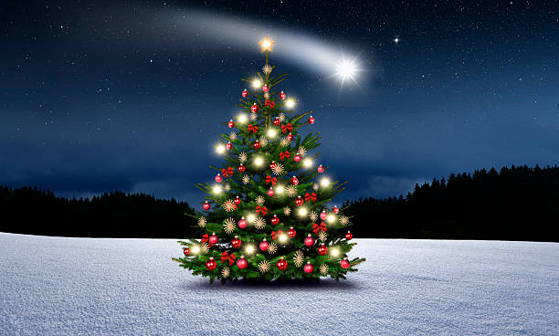 istock Illuminated decorated Christmas tree in a snowy winter forest 2236424043