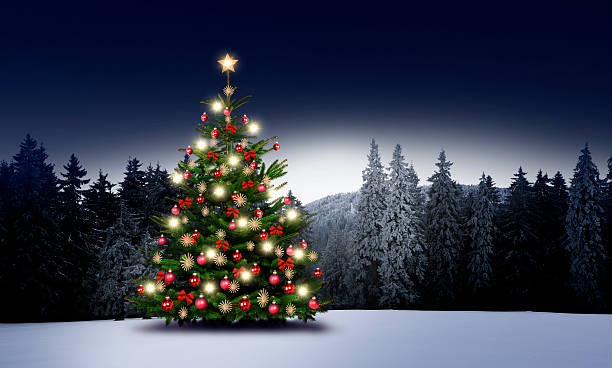 istock Illuminated decorated Christmas tree in a snowy winter forest 2236424064