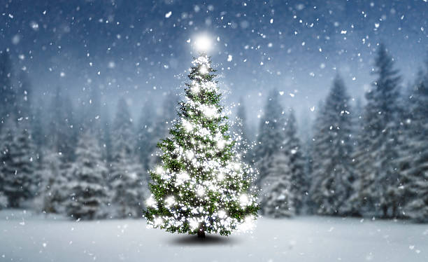 istock Illuminated decorated Christmas tree in a snowy winter forest 2236424068