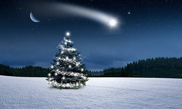 istock Illuminated decorated Christmas tree in a snowy winter forest 2236424071