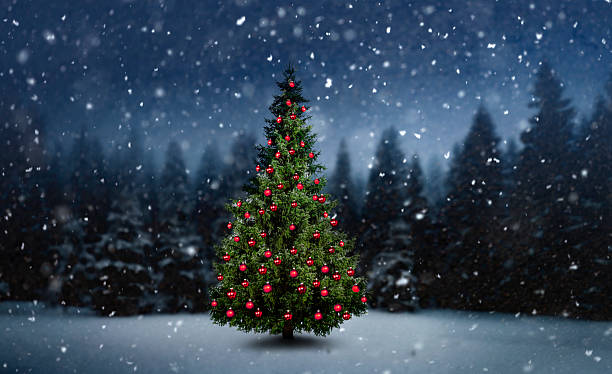 istock Illuminated decorated Christmas tree in a snowy winter forest 2236424094