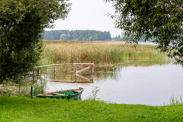 A small boat sits on the grass next to a calm lake, with a partially submerged wooden pier visible.