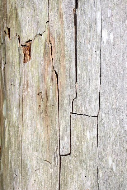 istock Old wooden plank surface with natural cracks and vintage texture for background design 2236430874