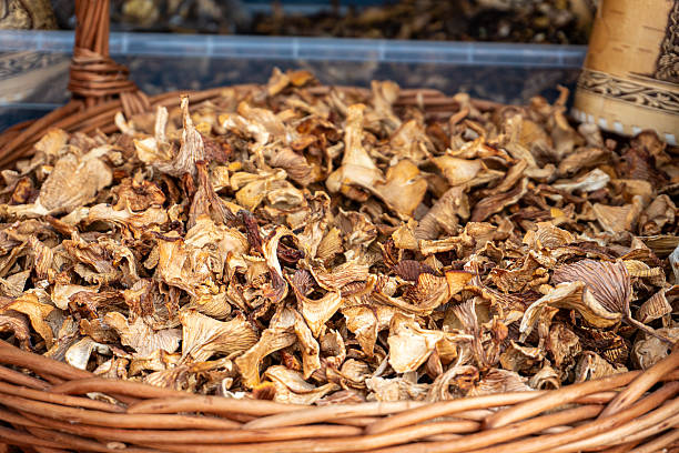 istock Dried mushrooms close-up 2236432383