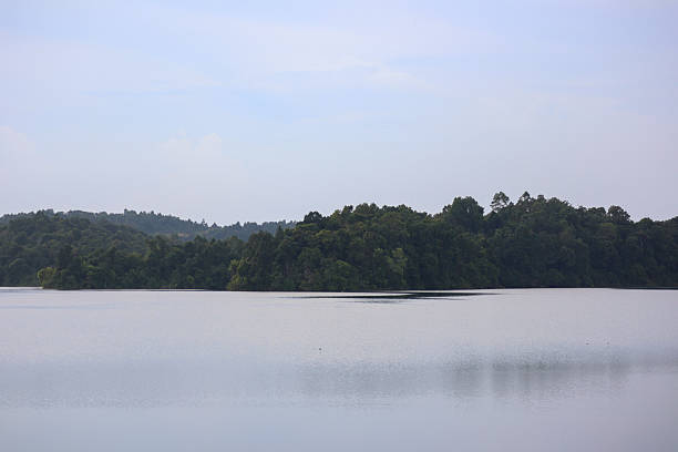 istock Calm lake with green forest hill under clear blue sky 2236433938