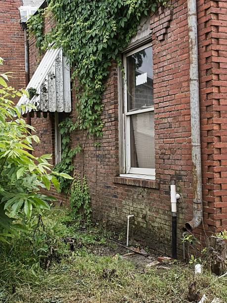 Abandoned condemned dilapidated house with overgrown brush.