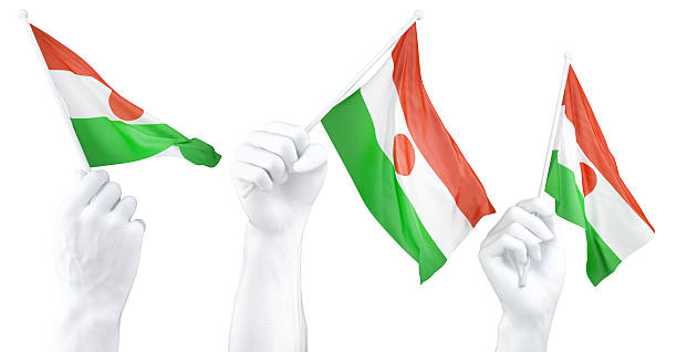 Hand holding flag of Niger. Isolated 3d Rendering