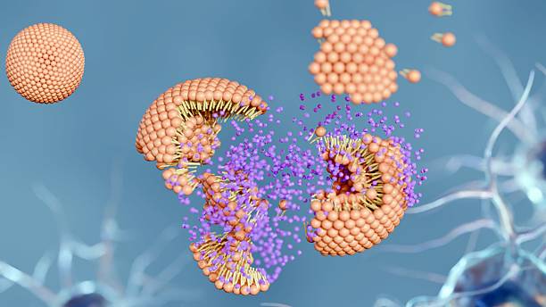 istock A 3d rendering of the moment a nanocarrier or liposome 2236438889