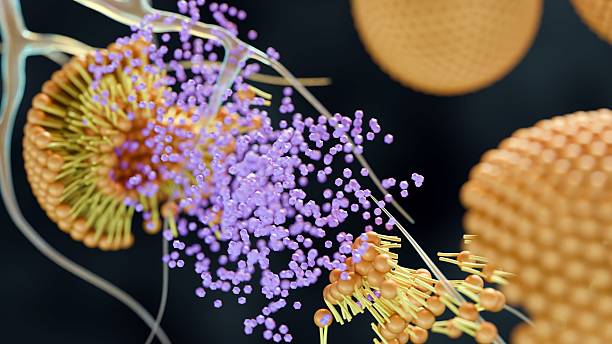 istock A 3d rendering of the moment a nanocarrier or liposome 2236438890