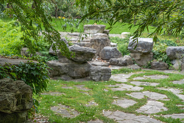 Garden with Rocks and Greenery. A tranquil garden with stone paths, large rocks, and lush greenery. Hanging branches frame the peaceful landscape.
