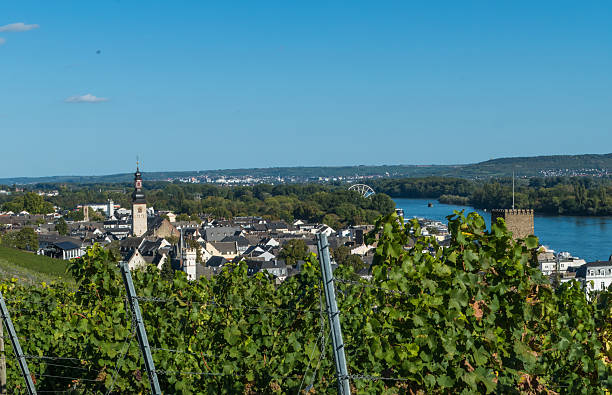 istock Townscape Ruedesheim Germany behind Vines 2236441832
