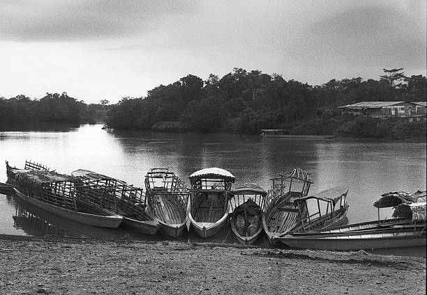 a number of wooden riverboats moored in the Rio La Pasion, near downtown Sayaxche, Guatemala, in the Peten, while the owners shop and run errands in town