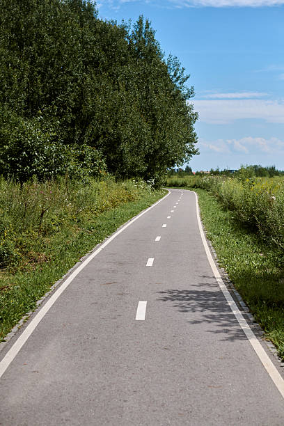 istock Serene cycleway through lush green forest on sunny day 2236447025