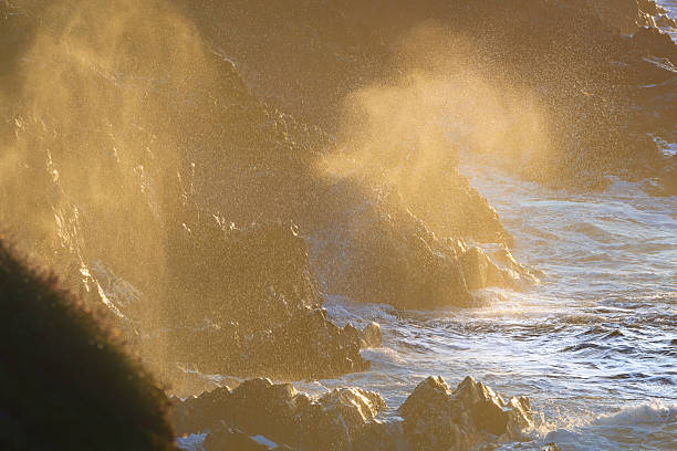 Dramatic wave impact on dark Irish rocks, golden hour light illuminating spray and coastal power