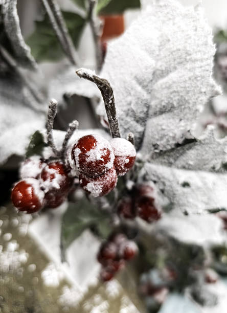 Detail of typical Christmas decoration