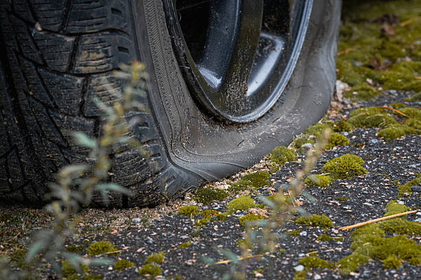 istock Flat car tire close-up on asphalt with moss, punctured wheel problem symbolizing vehicle breakdown, repair service, road safety and transportation issues 2236450964