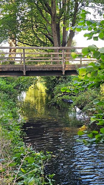 istock Wooden Bridge Over a Calm Stream in Summer 2236451192